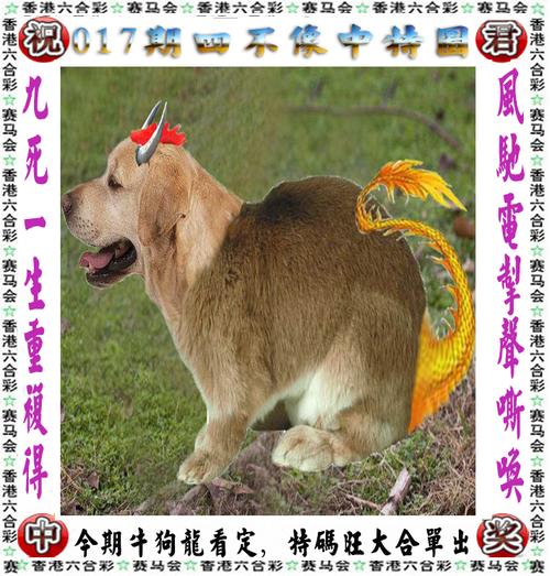 香港6合开奖结果十开奖资料,数据整合方案实施_投资版121,127.13
