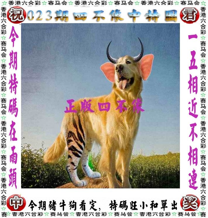 123开奖新澳门开奖,豪华精英版79.26.45-江GO121,127.13