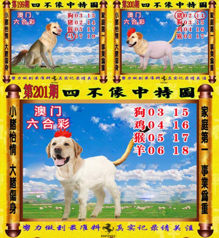 澳门图库资料精准,豪华精英版79.26.45-江GO121,127.13