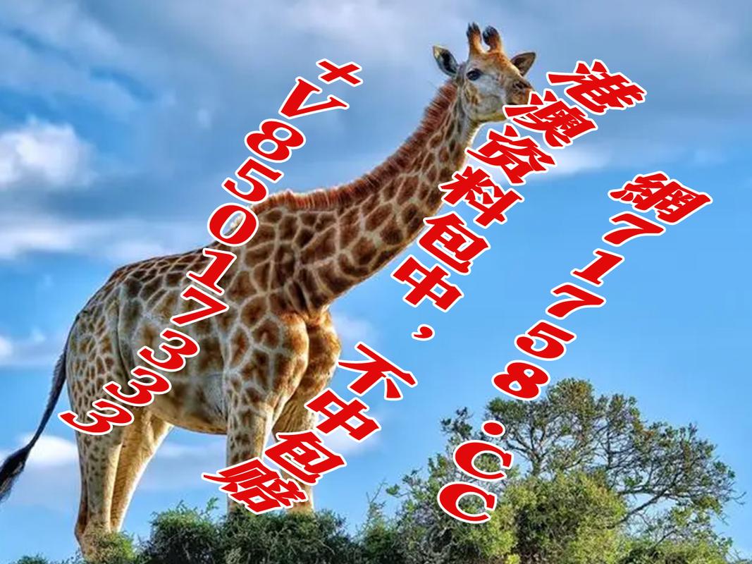 四肖八码免费大公开,数据解释落实_整合版121,127.13