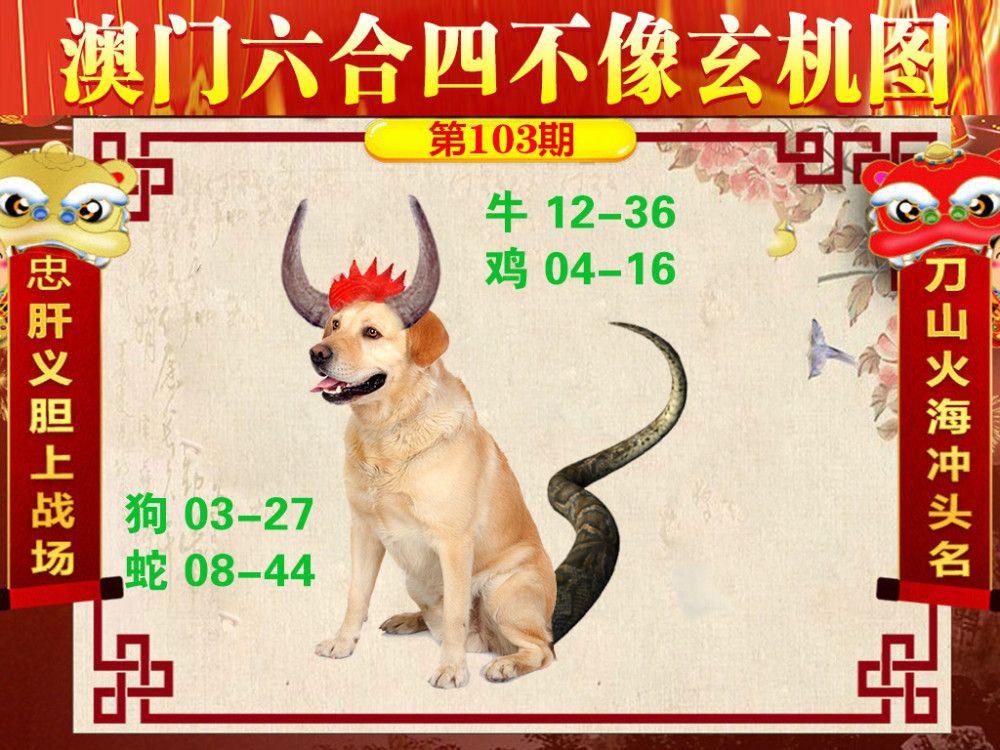 今晚新澳最准确的生肖,资深解答解释落实_特别款72.21127.13.