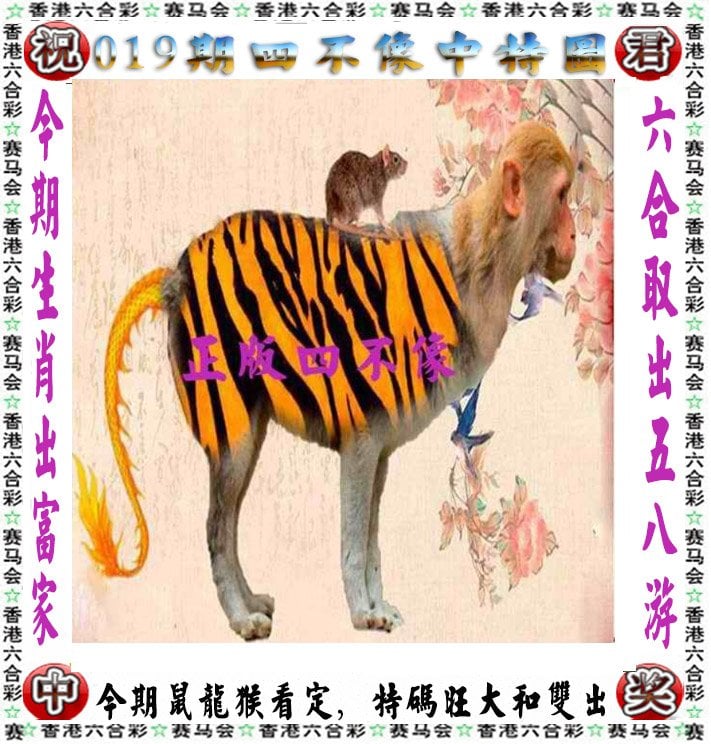 澳冂天天好彩,数据解释落实_整合版121,127.13