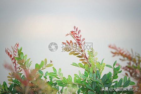 我只需要你电视剧免费观看_我只需要你电视剧免费观看32集