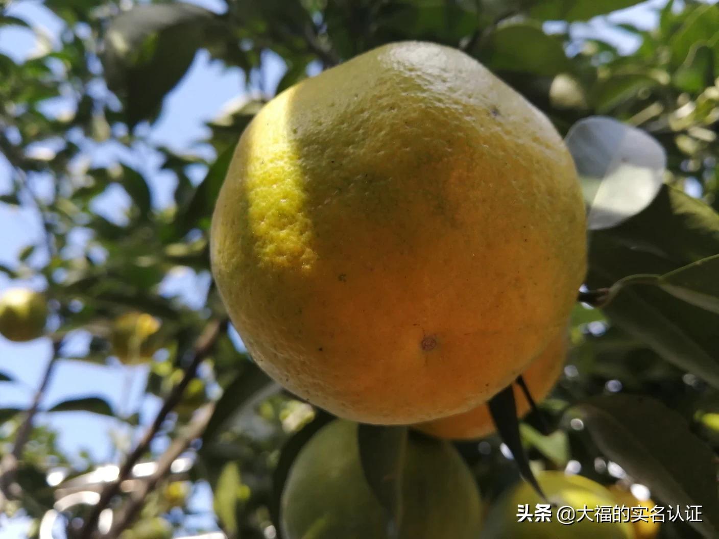 我只需要你电视剧免费观看_我只需要你电视剧免费观看32集