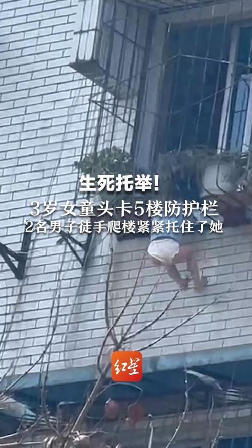 新澳2025今晚特马开奖号码和男童头卡护栏身亡与小孩头卡栏杆视频