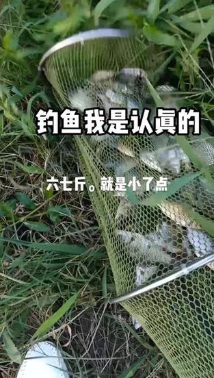 2025年5月30日 第175页