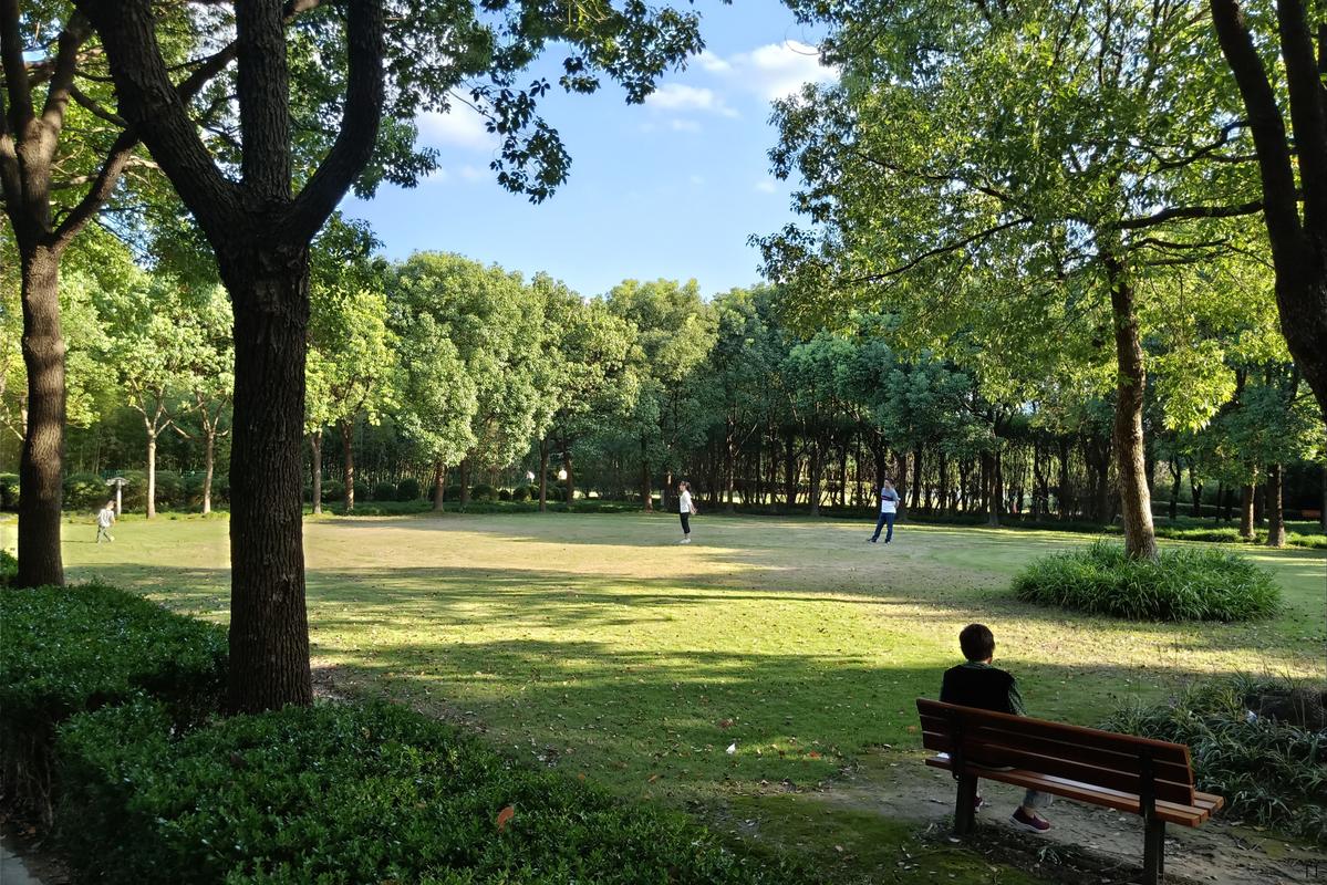 新奥2025今晚开奖资料和美公园枪击7人受伤与美公园枪击7人受伤了吗