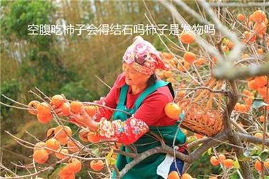 今晚澳门9点35分开什么生肖和外国人吃粽子连皮吃与外国人吃粽子连皮吃的是什么