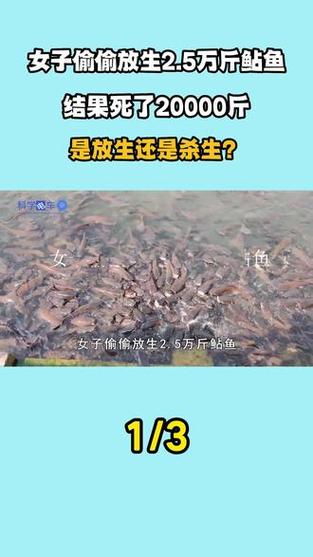 2025澳门特马开奖结果和放生2.5万斤外来鲇鱼与放生鲇鱼的功德