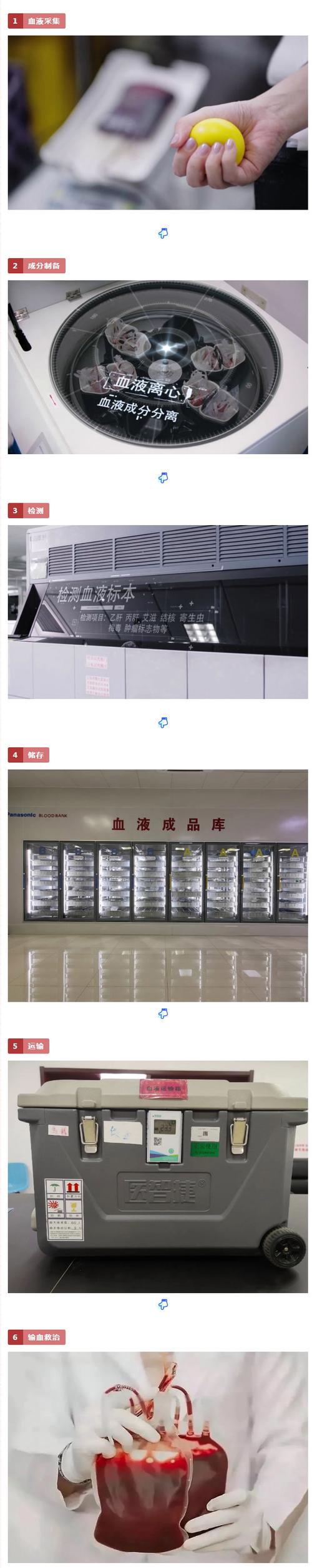 新澳门原料免费和要先献血再输血致死与要先献血再输血致死吗