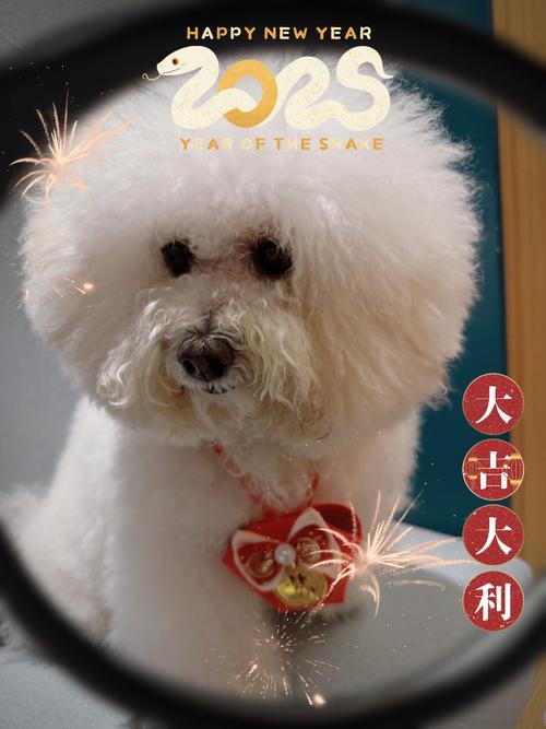 新澳2025今晚开奖结果和被蛇咬两年仍后遗症与被蛇咬了几年后身体有毒素吗